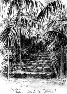 this is actually the entrance to a jungle on Praslin, Seychelles, 2006 © Jan Philipp Schwarz